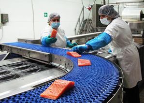 Специалист по контролю качества производства продукции из рыбы и морепродуктов (256 ак. часа)