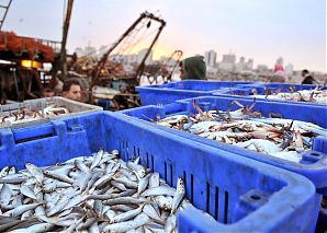 Специалист по контролю качества производства продукции из рыбы и морепродуктов