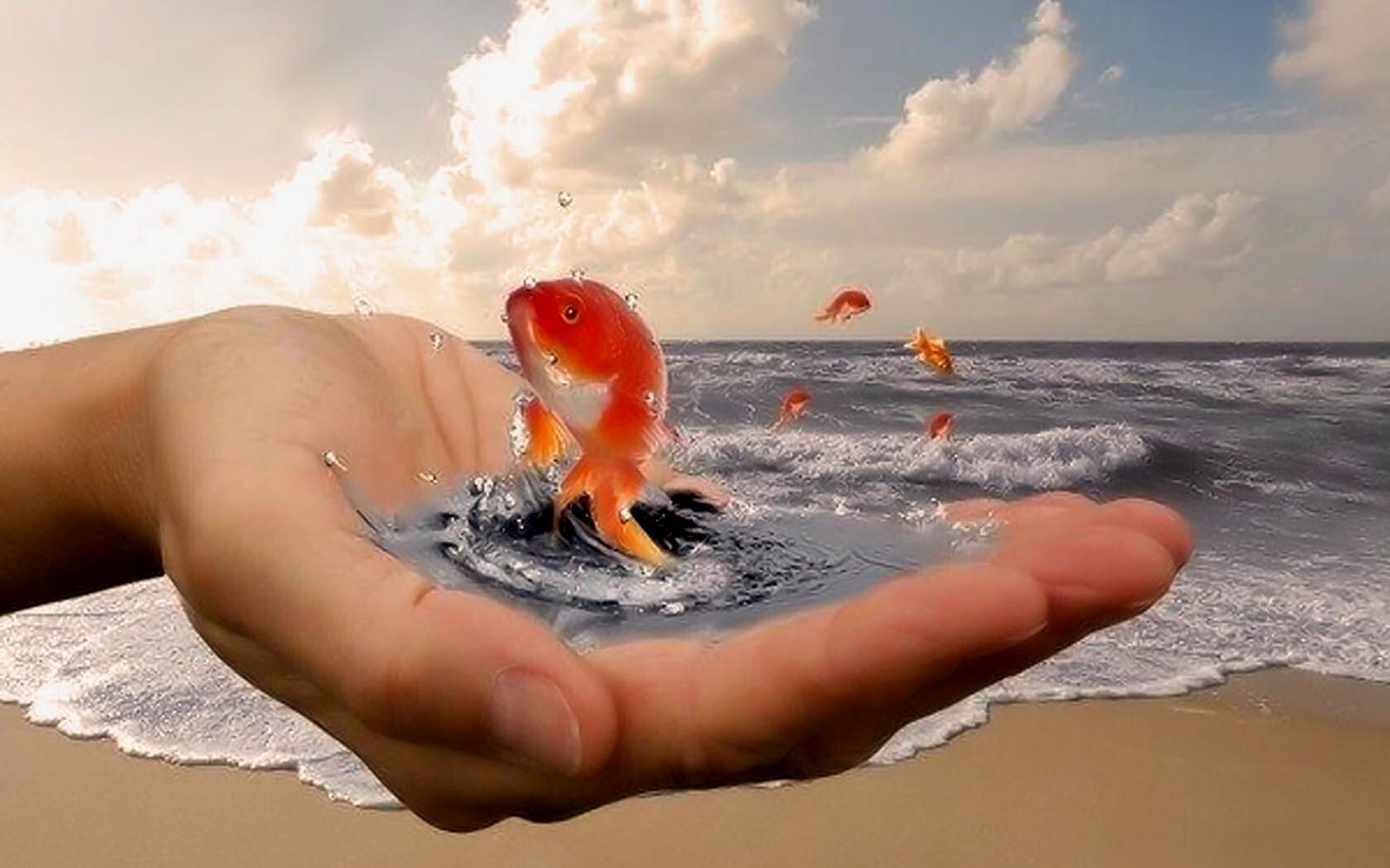 Увлекательной жизни. Золотая рыбка в руках. Золотая рыбка исполняет желания. Исполнения всех желаний. Добро у моря.